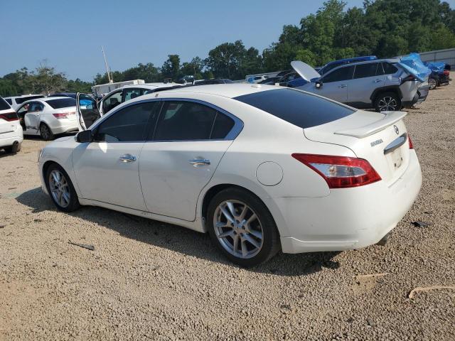 Photo 1 VIN: 1N4AA5AP4BC825668 - NISSAN MAXIMA 