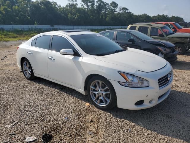 Photo 3 VIN: 1N4AA5AP4BC825668 - NISSAN MAXIMA 