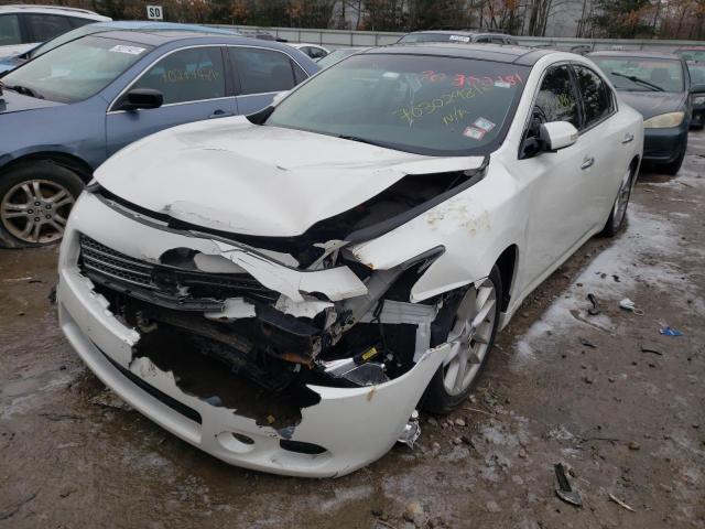 Photo 1 VIN: 1N4AA5AP4BC826691 - NISSAN MAXIMA S 