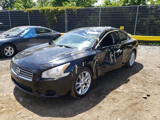 Photo 1 VIN: 1N4AA5AP4BC827341 - NISSAN MAXIMA 