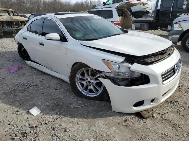 Photo 3 VIN: 1N4AA5AP4BC831521 - NISSAN MAXIMA 