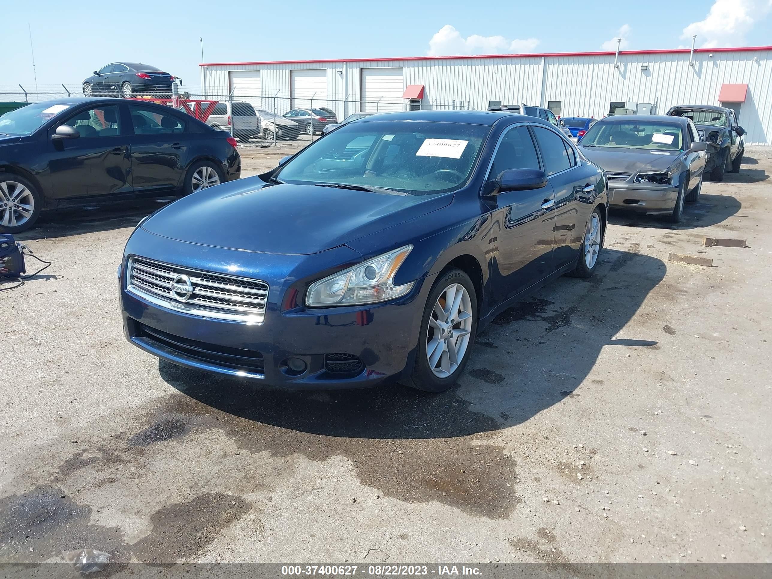 Photo 1 VIN: 1N4AA5AP4BC833267 - NISSAN MAXIMA 