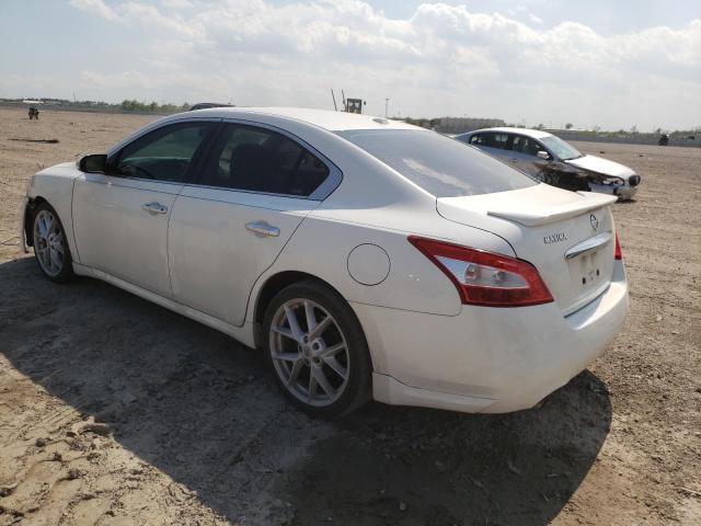 Photo 1 VIN: 1N4AA5AP4BC835309 - NISSAN MAXIMA 