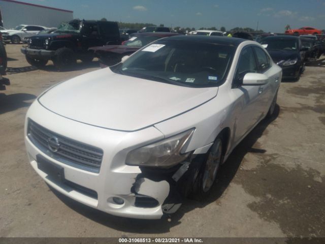 Photo 1 VIN: 1N4AA5AP4BC838033 - NISSAN MAXIMA 