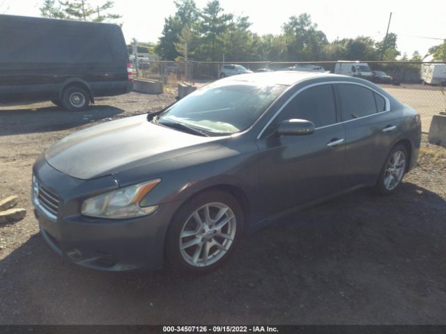 Photo 1 VIN: 1N4AA5AP4BC838484 - NISSAN MAXIMA 