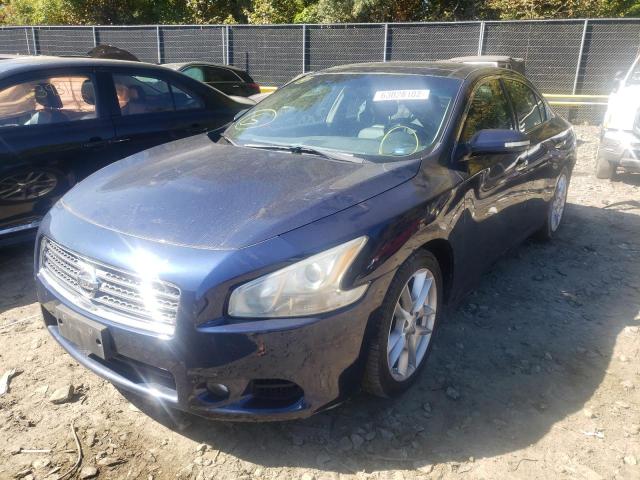 Photo 1 VIN: 1N4AA5AP4BC839165 - NISSAN MAXIMA S 