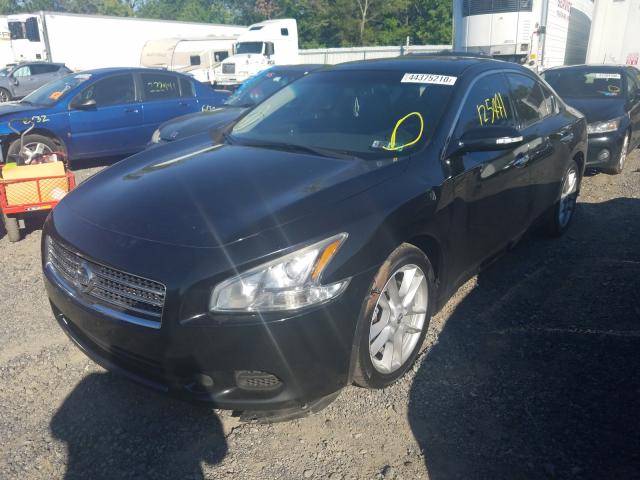 Photo 1 VIN: 1N4AA5AP4BC841868 - NISSAN MAXIMA S 