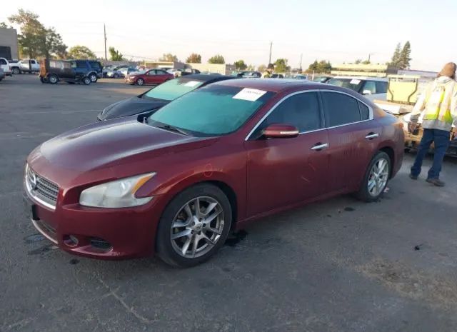 Photo 1 VIN: 1N4AA5AP4BC842132 - NISSAN MAXIMA 