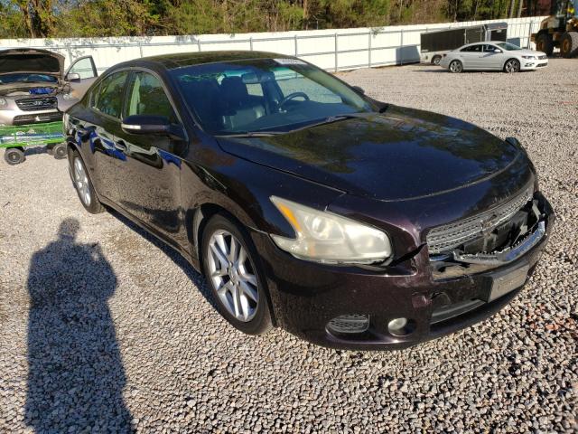 Photo 0 VIN: 1N4AA5AP4BC845533 - NISSAN MAXIMA S 