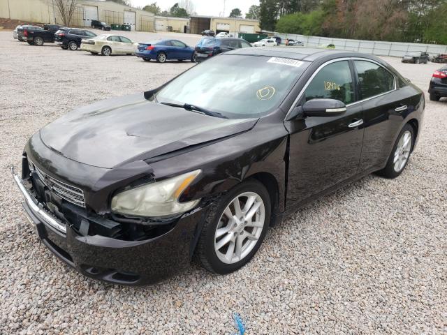 Photo 1 VIN: 1N4AA5AP4BC845533 - NISSAN MAXIMA S 