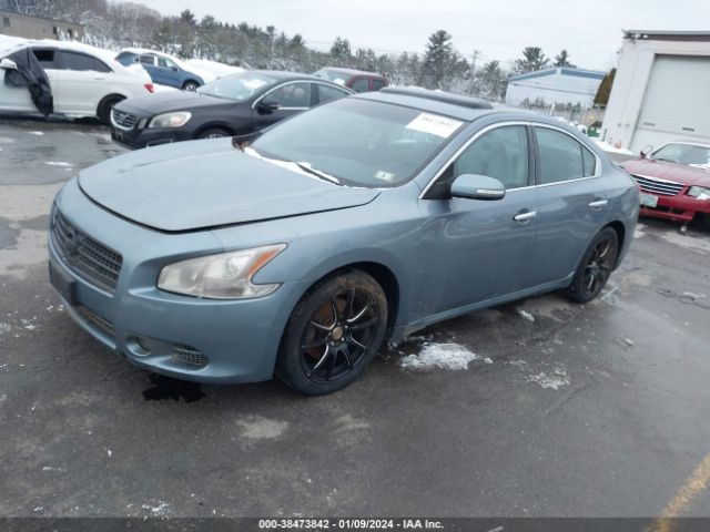 Photo 1 VIN: 1N4AA5AP4BC845841 - NISSAN MAXIMA 