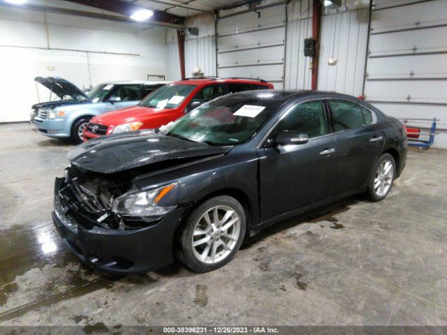 Photo 1 VIN: 1N4AA5AP4BC846035 - NISSAN MAXIMA 