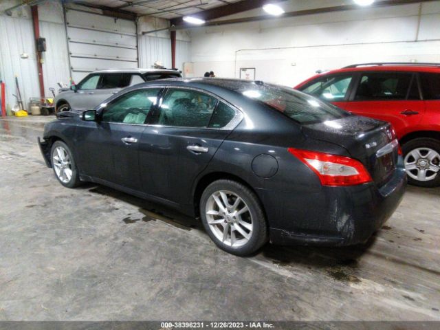 Photo 2 VIN: 1N4AA5AP4BC846035 - NISSAN MAXIMA 