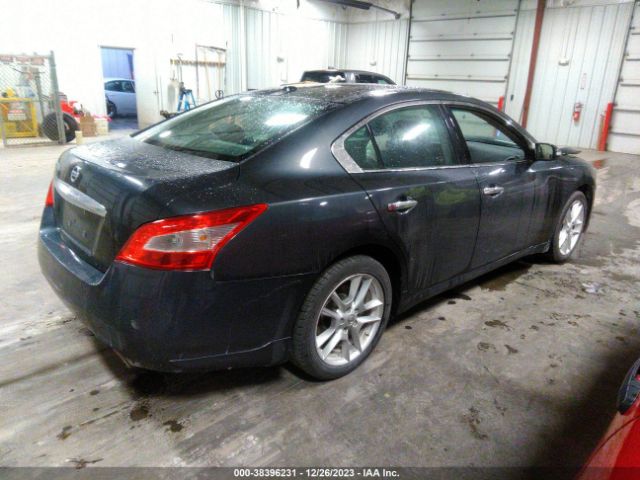 Photo 3 VIN: 1N4AA5AP4BC846035 - NISSAN MAXIMA 