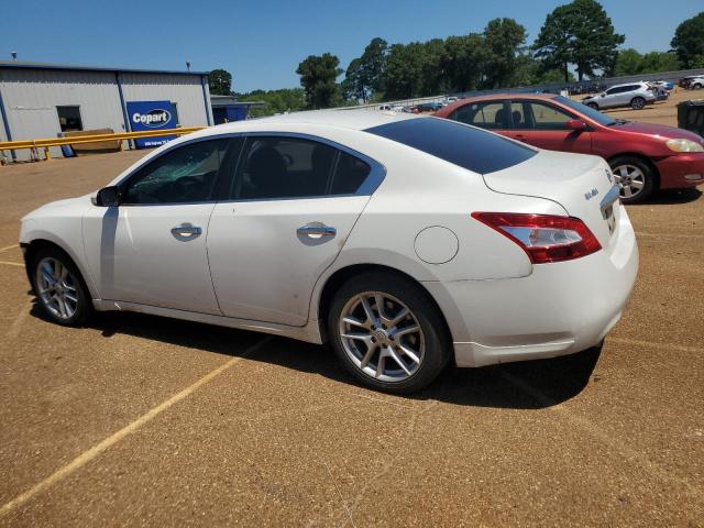 Photo 1 VIN: 1N4AA5AP4BC848514 - NISSAN MAXIMA 