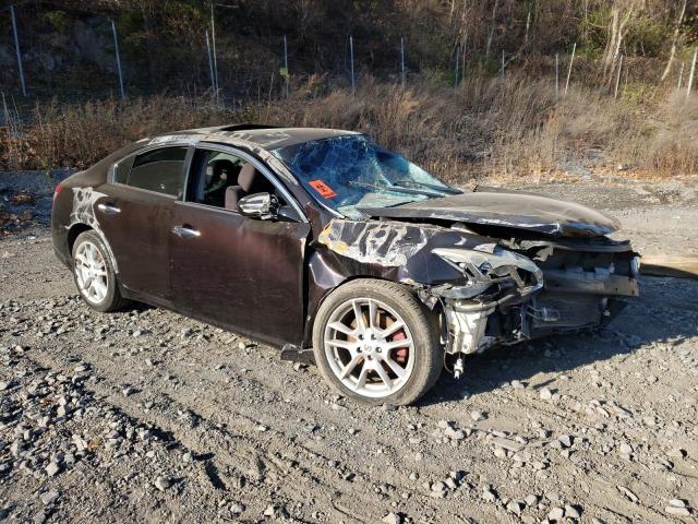 Photo 3 VIN: 1N4AA5AP4BC851929 - NISSAN MAXIMA S 