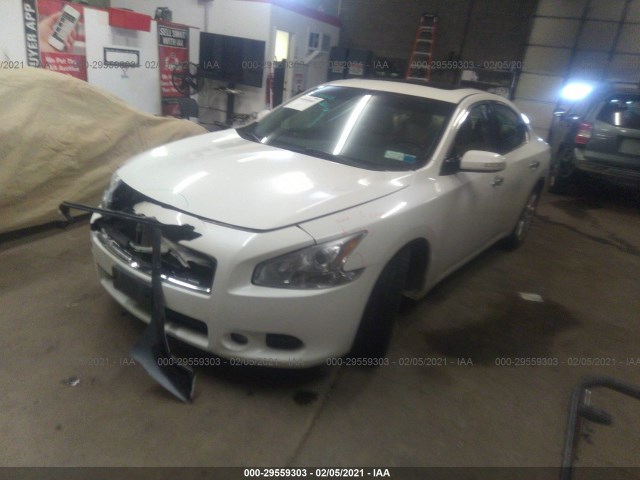 Photo 1 VIN: 1N4AA5AP4BC864597 - NISSAN MAXIMA 