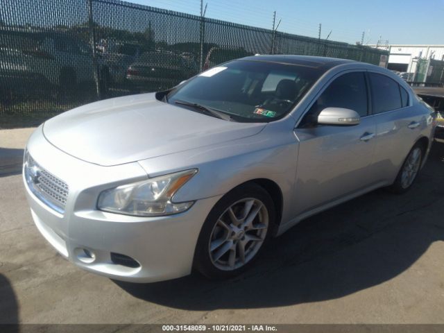 Photo 1 VIN: 1N4AA5AP4BC865071 - NISSAN MAXIMA 