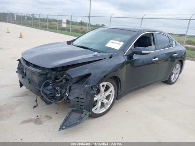 Photo 5 VIN: 1N4AA5AP4CC833612 - NISSAN MAXIMA 