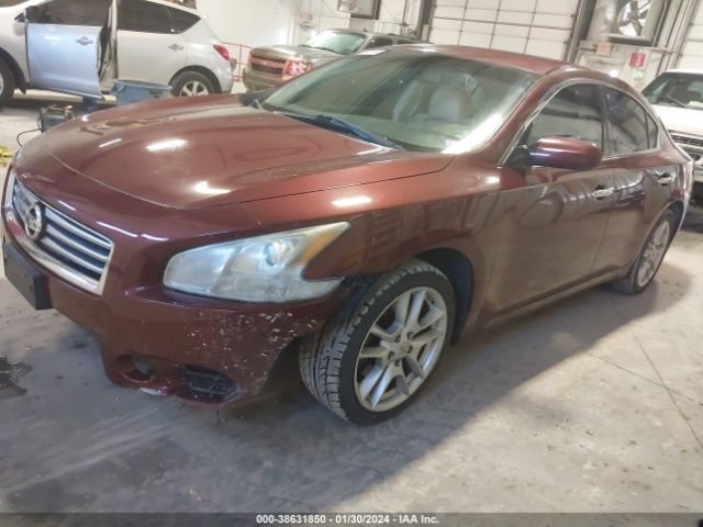 Photo 1 VIN: 1N4AA5AP4CC860003 - NISSAN MAXIMA 