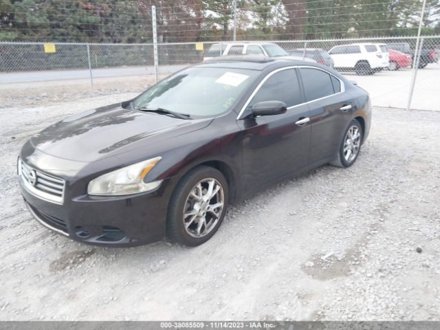 Photo 1 VIN: 1N4AA5AP4DC811689 - NISSAN MAXIMA 