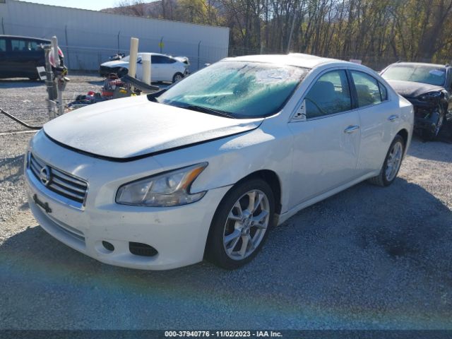 Photo 1 VIN: 1N4AA5AP4DC811899 - NISSAN MAXIMA 