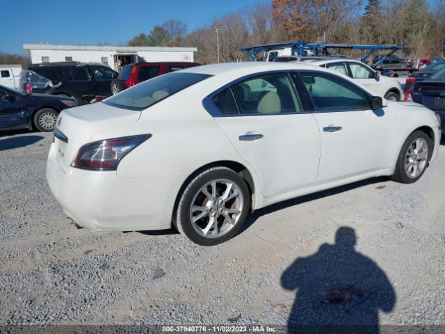 Photo 3 VIN: 1N4AA5AP4DC811899 - NISSAN MAXIMA 