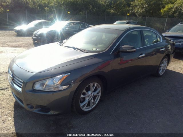 Photo 1 VIN: 1N4AA5AP4DC832431 - NISSAN MAXIMA 