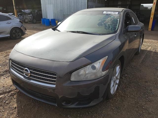 Photo 1 VIN: 1N4AA5AP4DC835183 - NISSAN MAXIMA S 