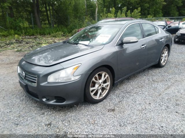 Photo 1 VIN: 1N4AA5AP4EC455200 - NISSAN MAXIMA 