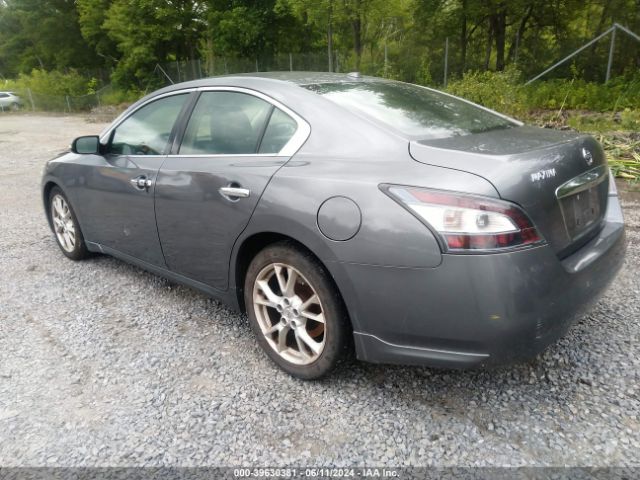 Photo 2 VIN: 1N4AA5AP4EC455200 - NISSAN MAXIMA 