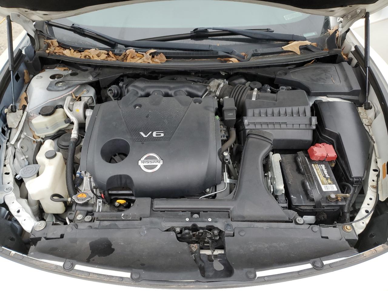 Photo 10 VIN: 1N4AA5AP4EC499665 - NISSAN MAXIMA 