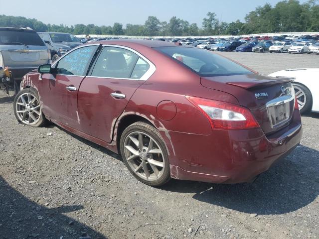 Photo 1 VIN: 1N4AA5AP5AC813902 - NISSAN MAXIMA S 