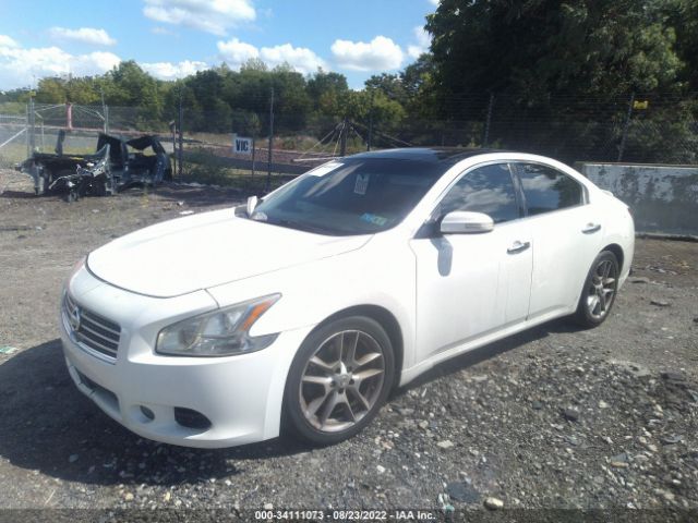 Photo 1 VIN: 1N4AA5AP5AC814113 - NISSAN MAXIMA 