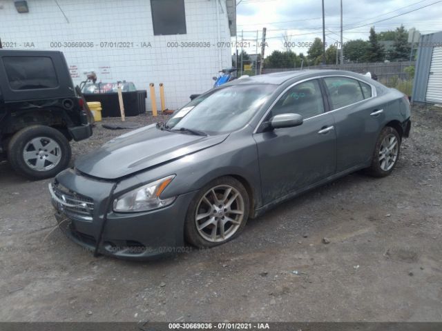 Photo 1 VIN: 1N4AA5AP5AC821093 - NISSAN MAXIMA 