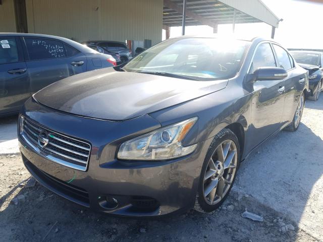 Photo 1 VIN: 1N4AA5AP5AC821255 - NISSAN MAXIMA S 