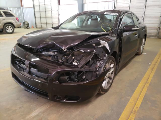 Photo 1 VIN: 1N4AA5AP5AC827251 - NISSAN MAXIMA S 