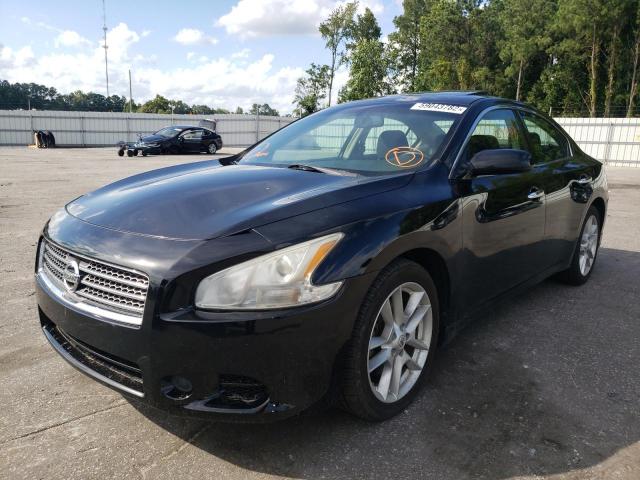 Photo 1 VIN: 1N4AA5AP5AC838721 - NISSAN MAXIMA S 