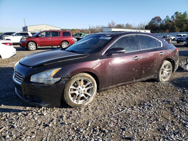 Photo 0 VIN: 1N4AA5AP5AC851226 - NISSAN MAXIMA 