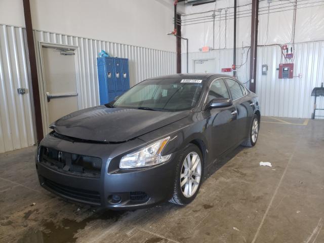 Photo 1 VIN: 1N4AA5AP5AC851520 - NISSAN MAXIMA S 