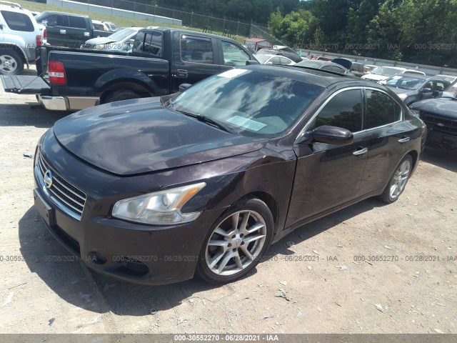 Photo 1 VIN: 1N4AA5AP5AC856202 - NISSAN MAXIMA 