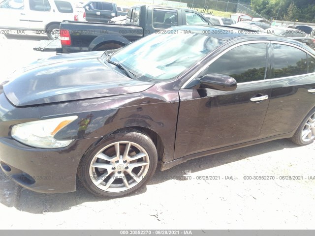 Photo 5 VIN: 1N4AA5AP5AC856202 - NISSAN MAXIMA 