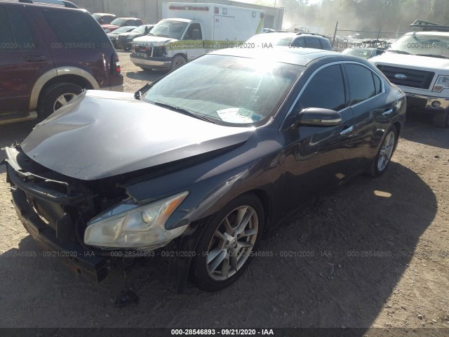 Photo 1 VIN: 1N4AA5AP5AC860024 - NISSAN MAXIMA 