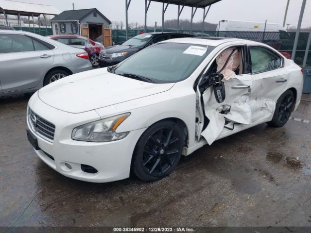 Photo 1 VIN: 1N4AA5AP5AC874103 - NISSAN MAXIMA 