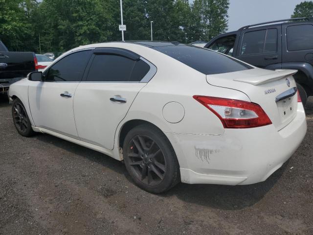 Photo 1 VIN: 1N4AA5AP5BC812959 - NISSAN MAXIMA S 