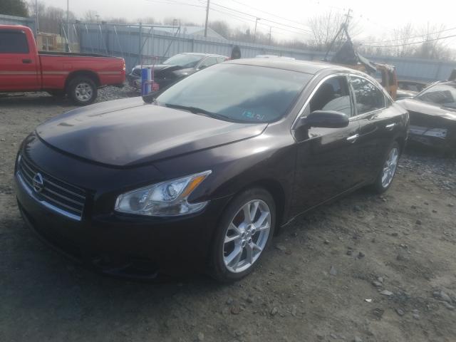 Photo 1 VIN: 1N4AA5AP5BC818681 - NISSAN MAXIMA S 