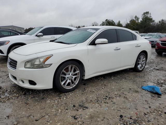 Photo 0 VIN: 1N4AA5AP5BC818695 - NISSAN MAXIMA 