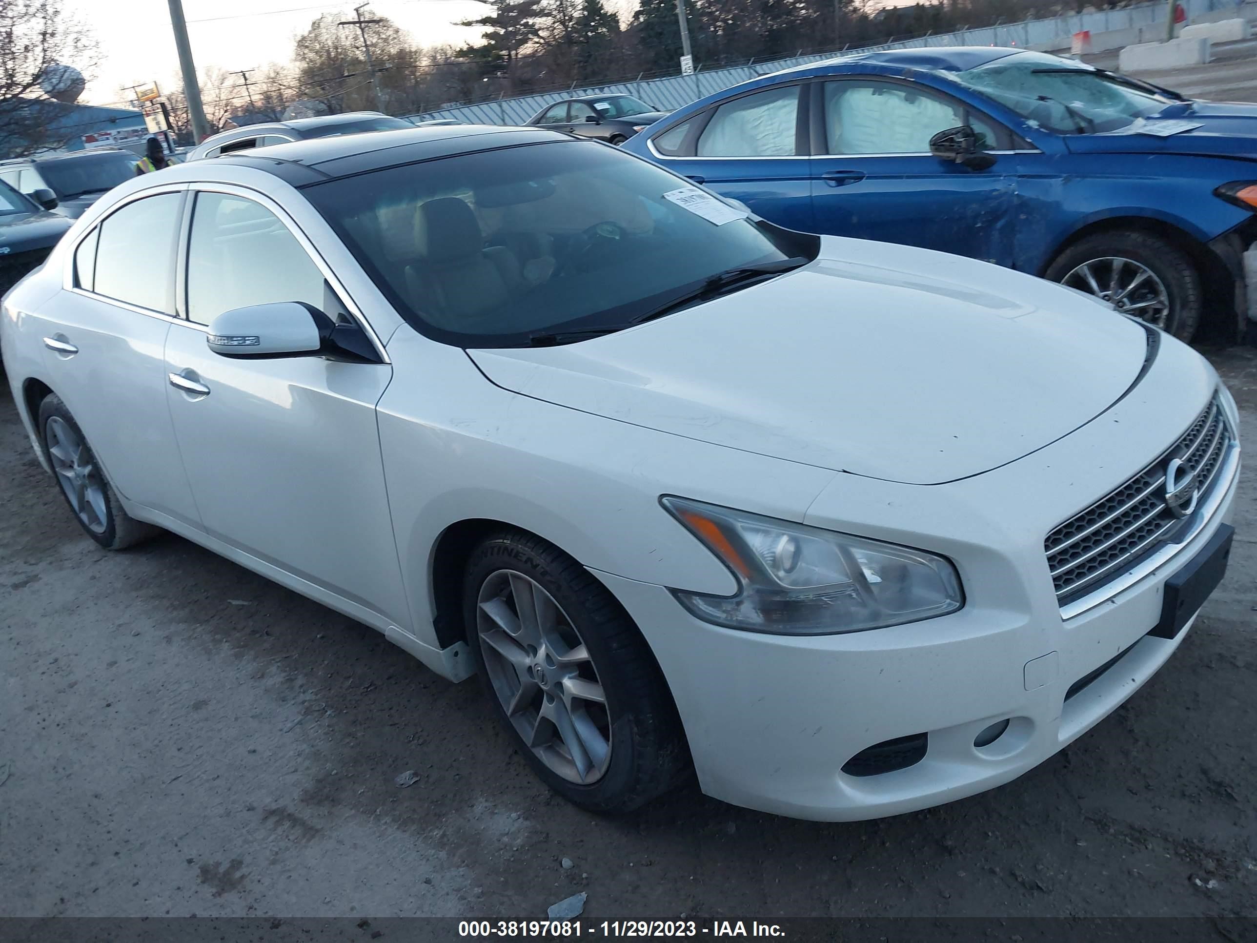 Photo 1 VIN: 1N4AA5AP5BC819295 - NISSAN MAXIMA 