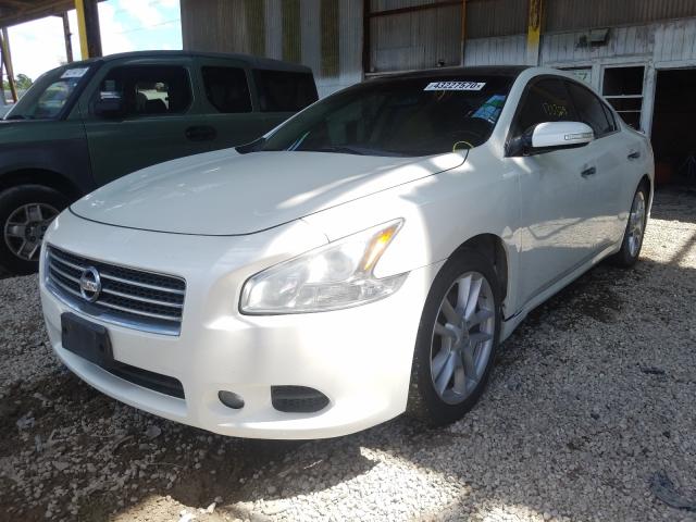 Photo 1 VIN: 1N4AA5AP5BC822388 - NISSAN MAXIMA S 