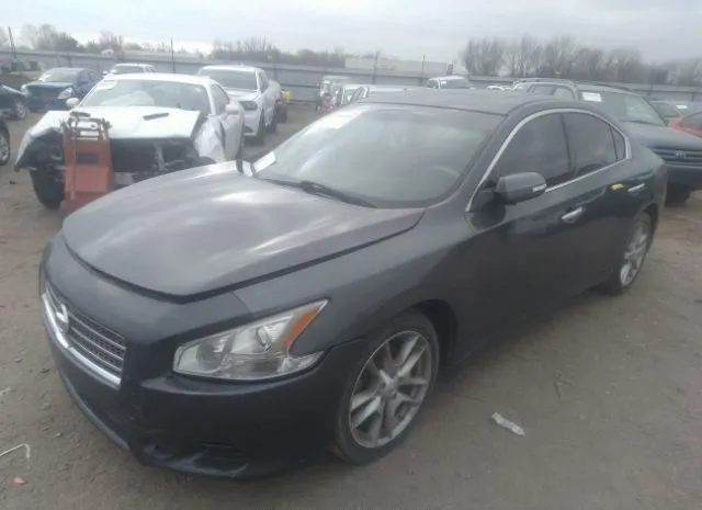 Photo 1 VIN: 1N4AA5AP5BC825016 - NISSAN MAXIMA 